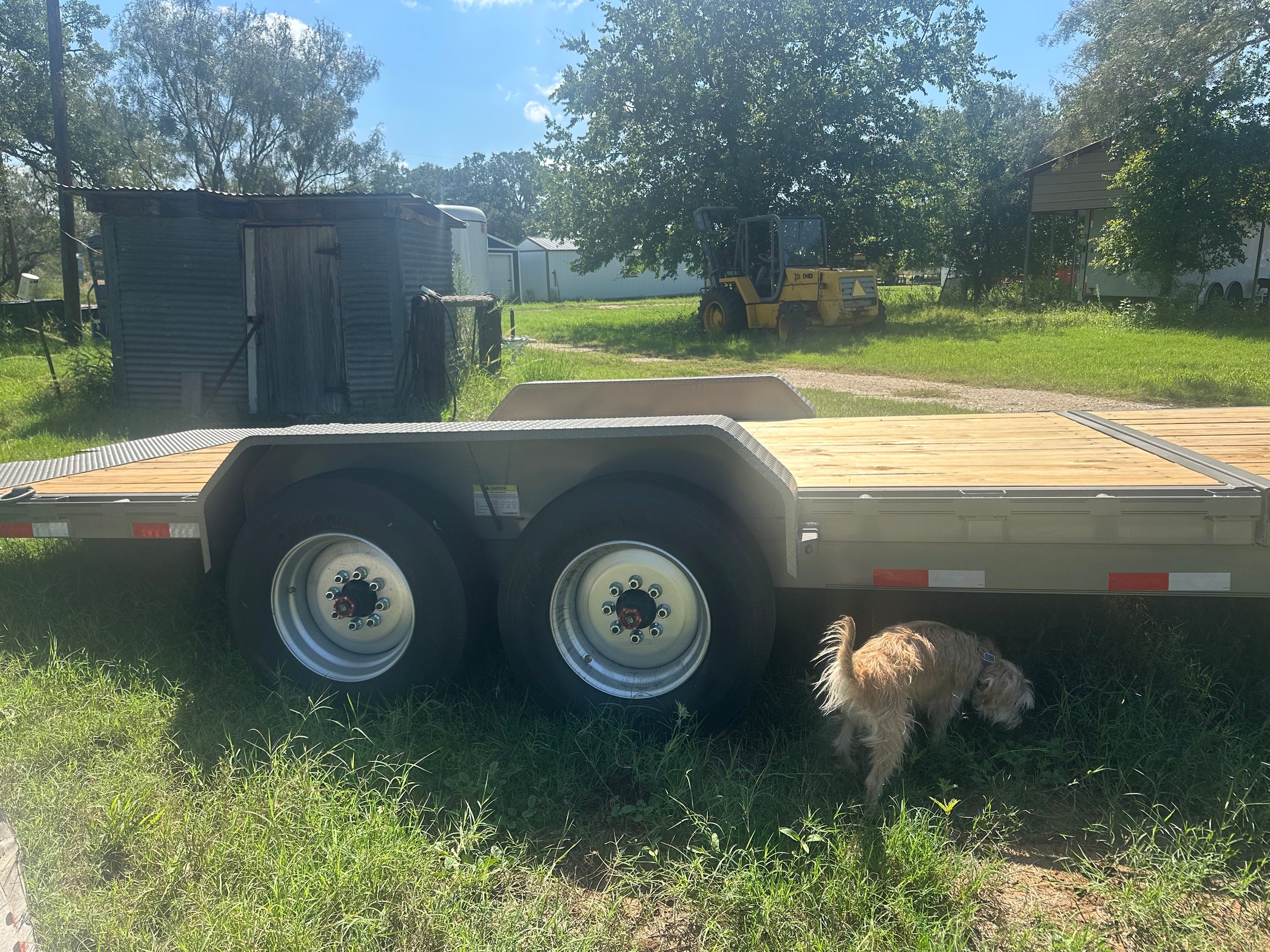 USED DP Platinum 83"x22.5' 2025 Tilt 8k  - 1495 DP Platinum