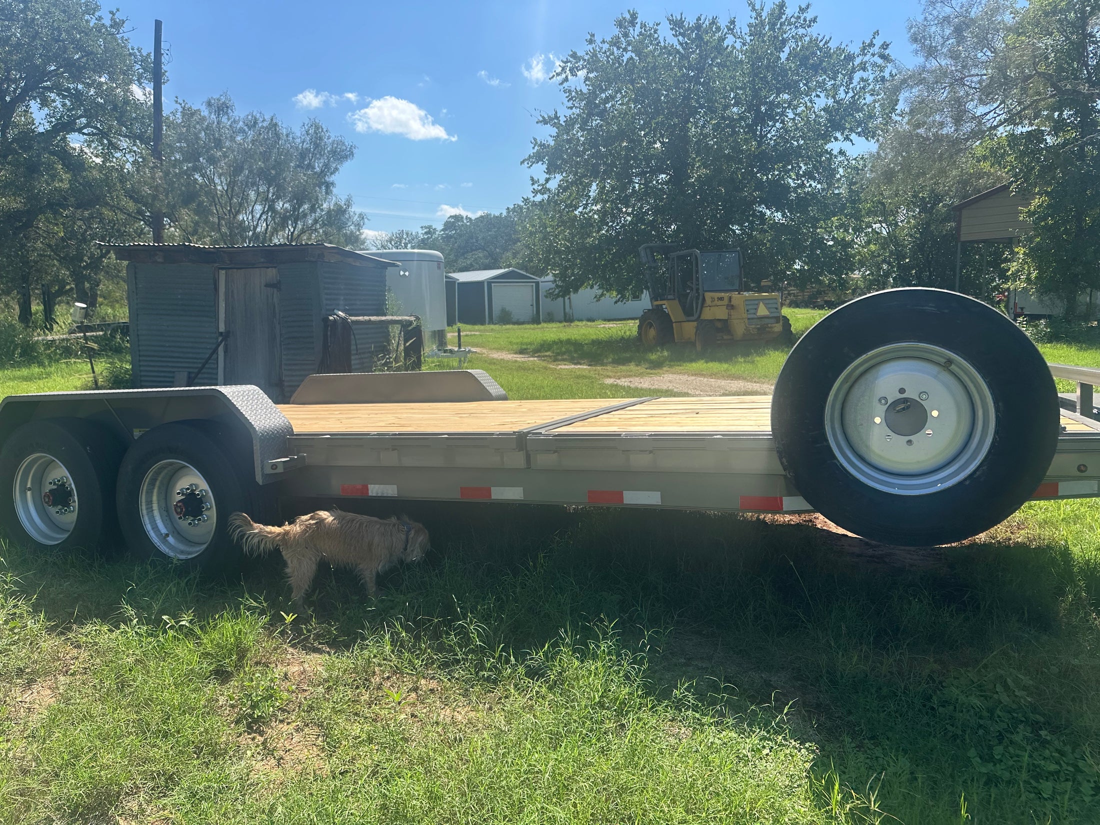 USED DP Platinum 83"x22.5' 2025 Tilt 8k  - 1495 DP Platinum