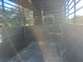 Load image into Gallery viewer, Calico 6'x16'x6'6"Livestock Bumper Pull Trailer-- Dark Slate Gray- 0175 Calico