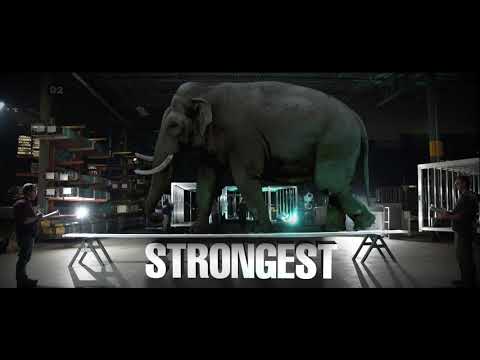 Alcom EZ Haul 102"x24' Tandem Cargo CHARCOAL - 2476 Alcom