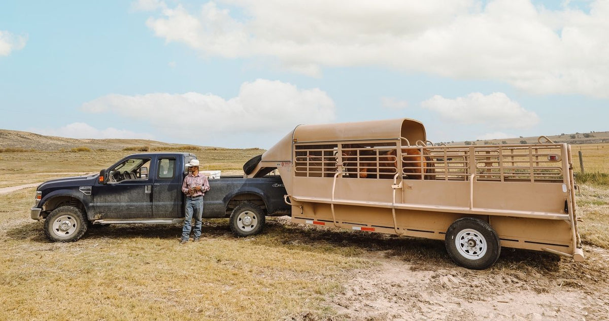 Used - J4 Trailer