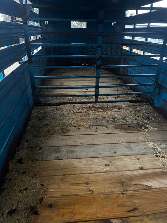 Blue WW Livestock Rental
